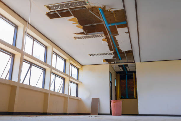 Best Water damage restoration near me  in Fairfield, AL