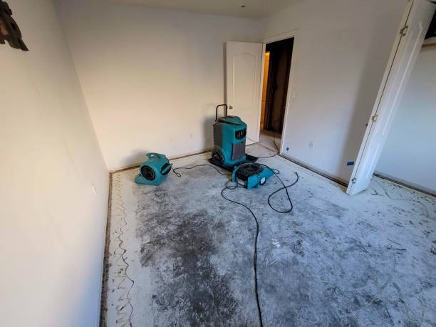 Best Flood restoration services  in Fairfield, AL