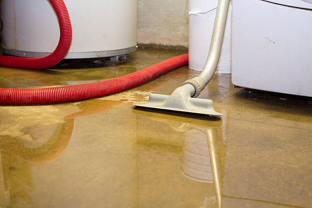 Best Flooded house restoration  in Fairfield, AL