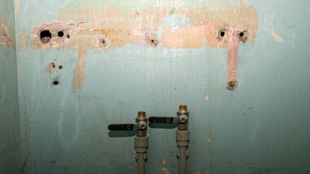 Best 24/7 water damage repair  in Fairfield, AL