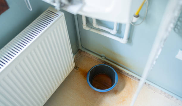 Best Mold removal after water damage  in Fairfield, AL