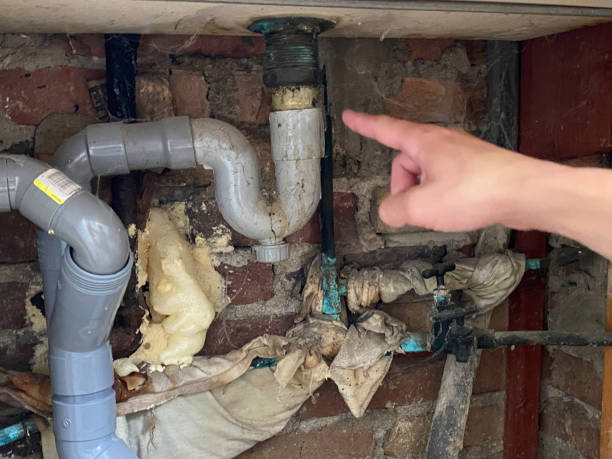 Best Professional water damage repair  in Fairfield, AL