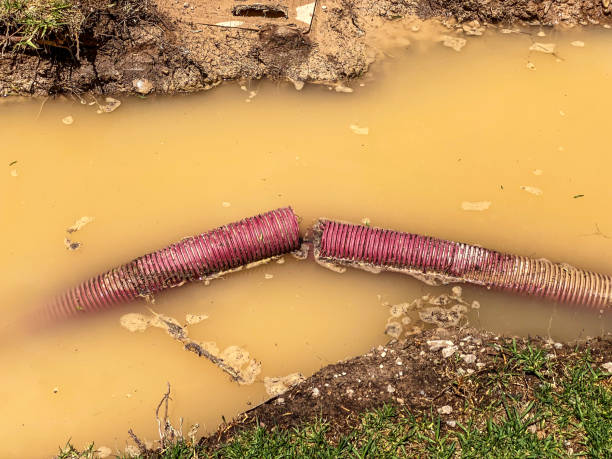 Best Residential water damage restoration  in Fairfield, AL